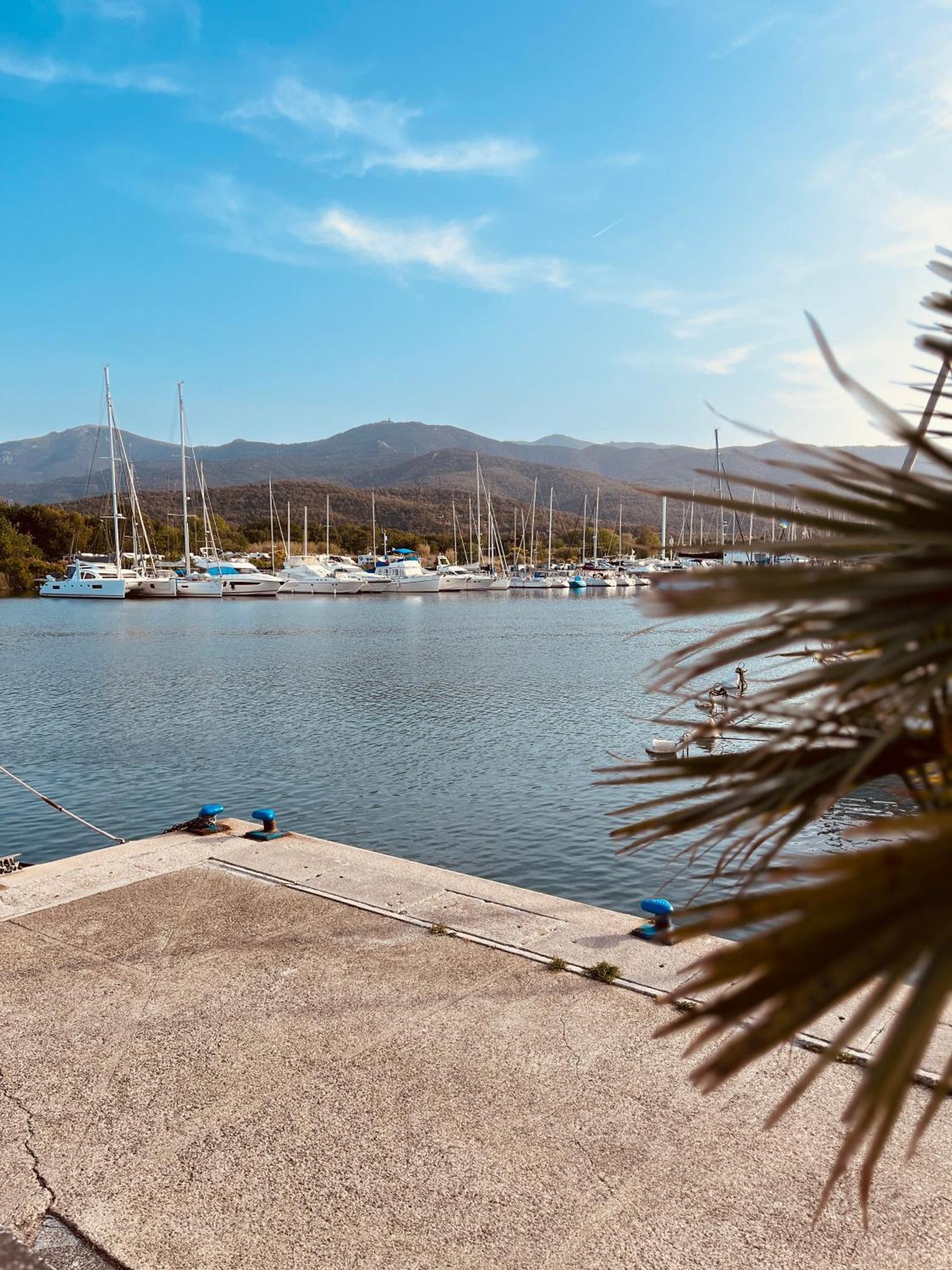 Hotel Le Nid Argelès-sur-Mer Exteriér fotografie